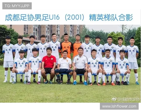 成都足球队实力揭秘:从青训到职业联赛的全景分析与展望