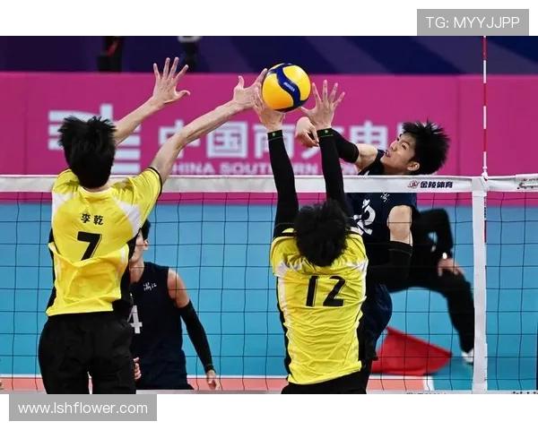 杭州排球队状态分析与发展展望聚焦排球运动的未来与挑战