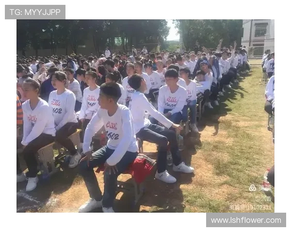 武汉乒乓球队的节奏与风采探秘：从训练到比赛的全景观察