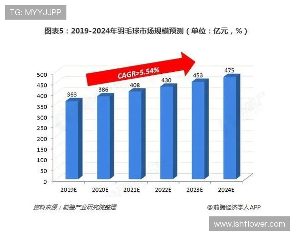 深圳羽毛球队技术表现深度数据分析与提升策略探讨
