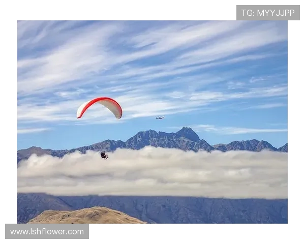 聚焦极限运动：探讨北京极限运动队的意识形态与文化认同