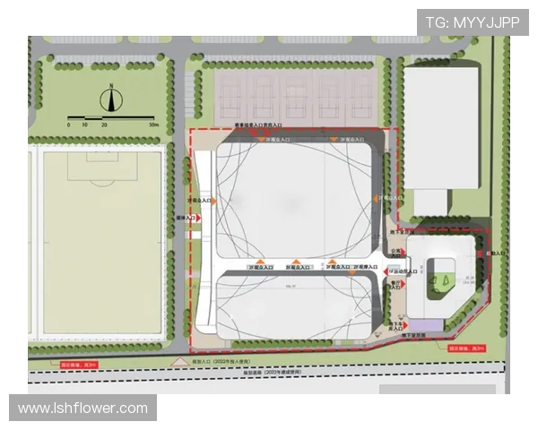 重庆街舞队耐力表现分析与训练策略探讨