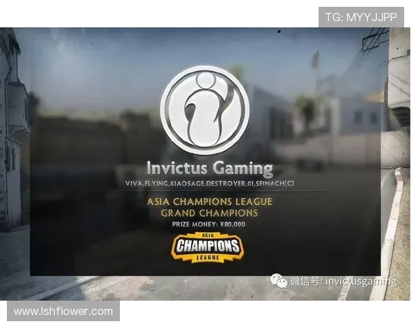 CSGO深度解析：IG战队如何通过团队协作赢得比赛胜利