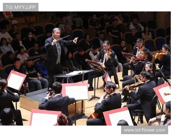 北京极限运动队比赛经验分析与数据洞察探讨