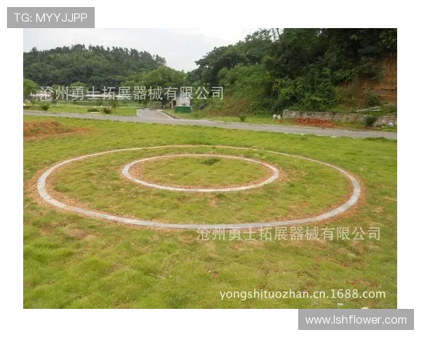 南京极限运动队战术深度解析与对比研究